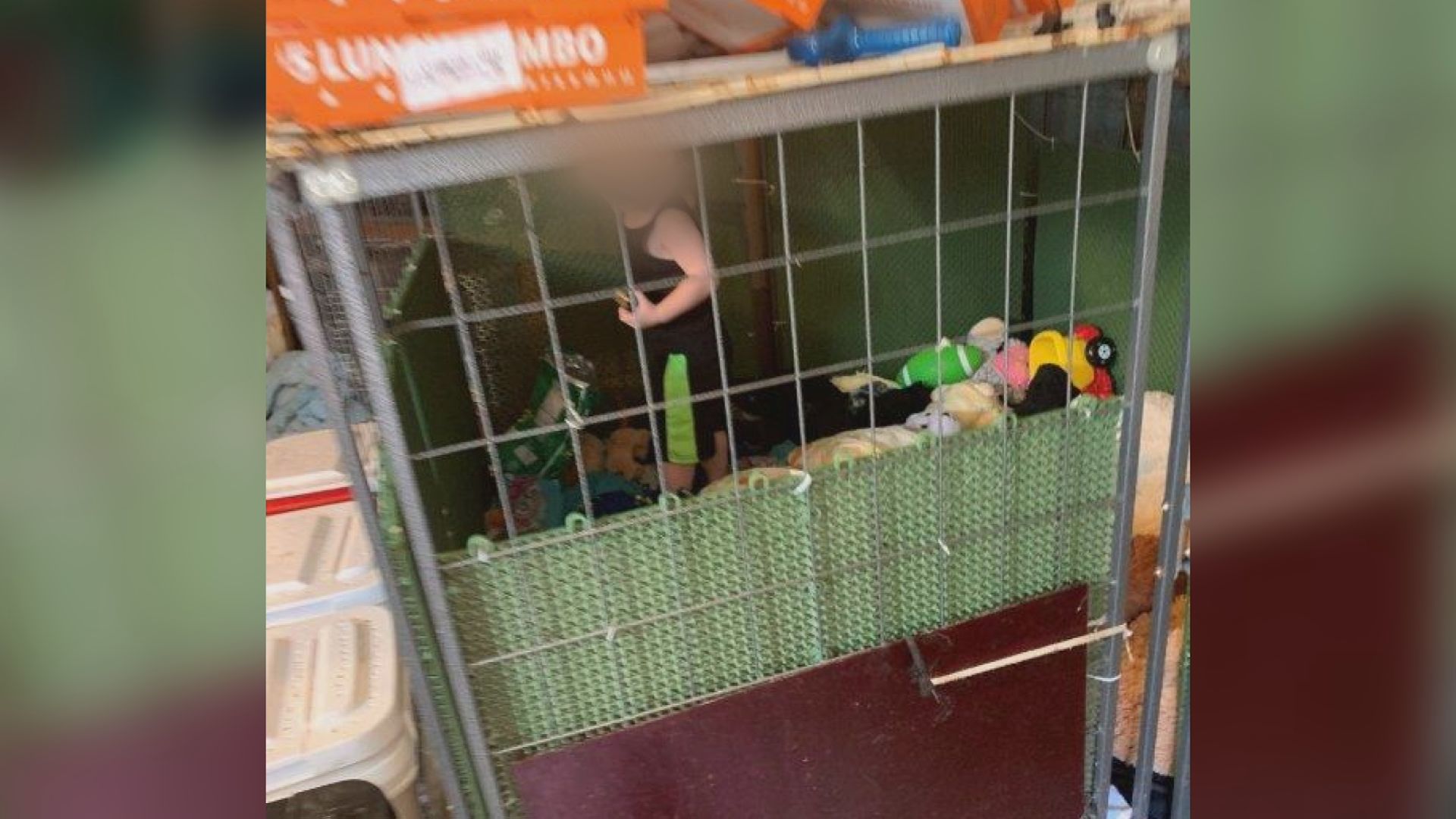 kid in cage blurred.jpg